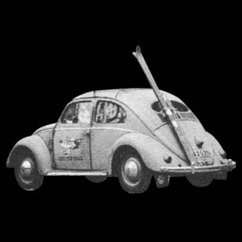 Dubby - Ski Fox Tee Design