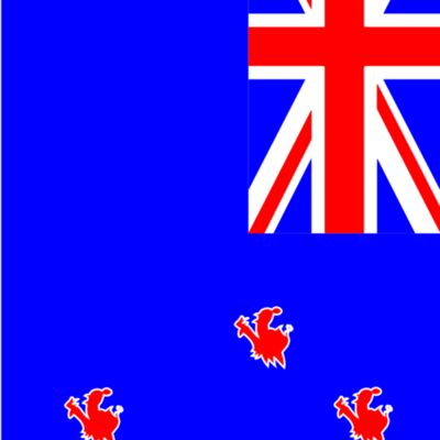 Fox Flag Vert Thumbnail